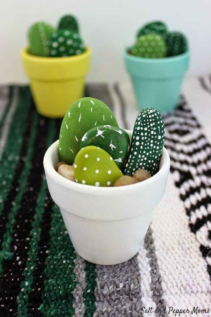 Inspi cactus - 14