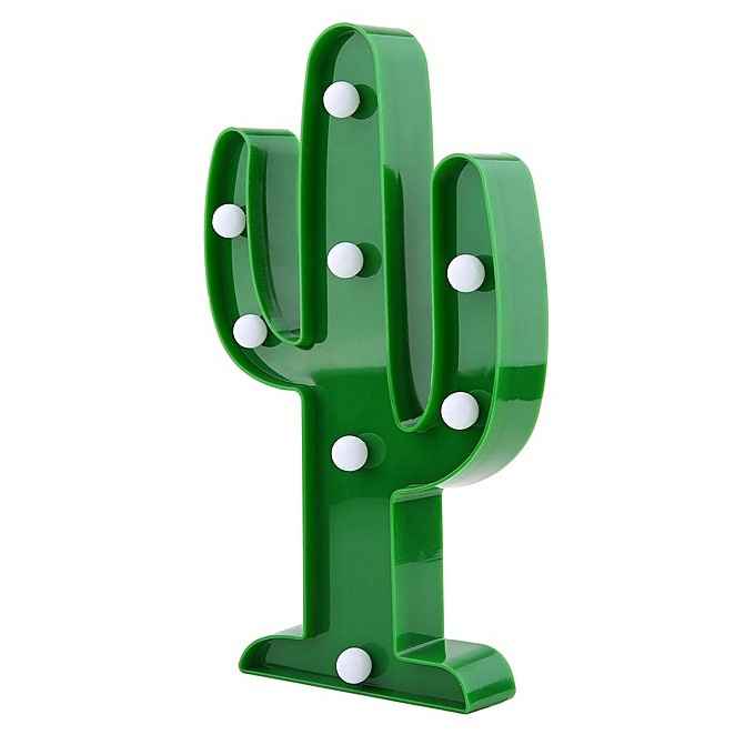 Inspi cactus - 17