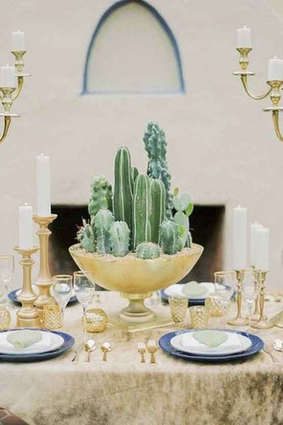 Inspi cactus - 18