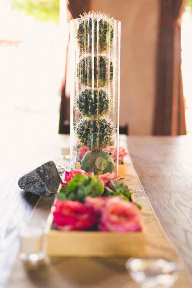 Inspi cactus - 21