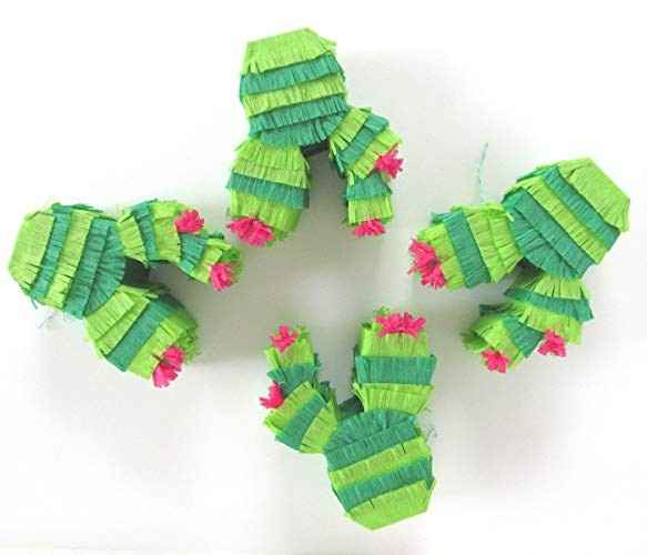Inspi cactus - 25