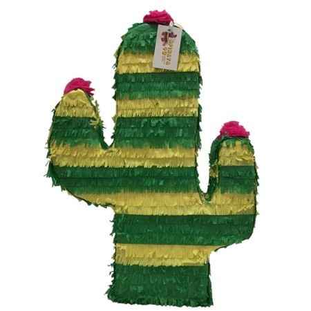 Inspi cactus - 26