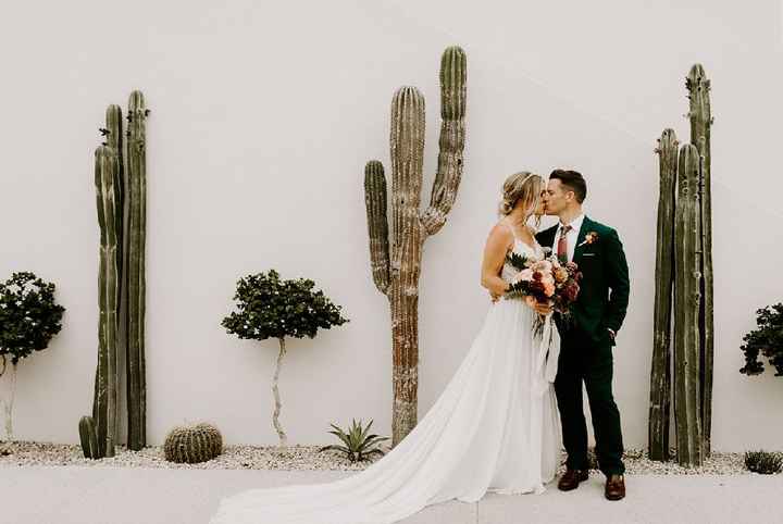 Inspi cactus - 28