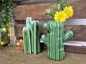 Inspi cactus - 29