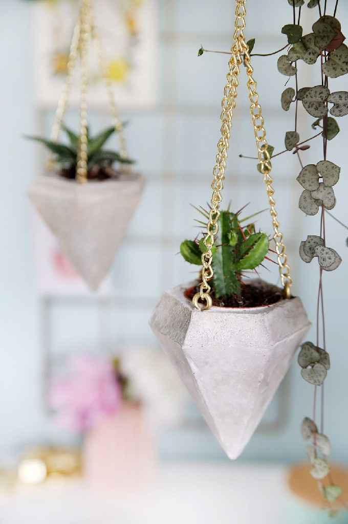Inspi cactus - 32