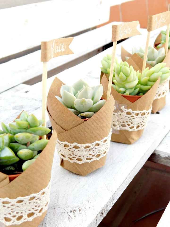 Inspi cactus - 34