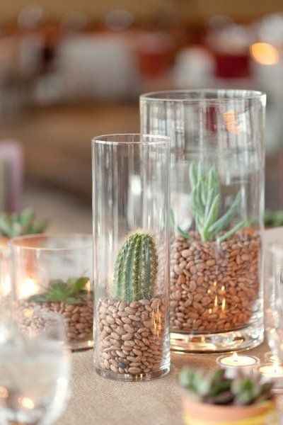 Inspi cactus - 37