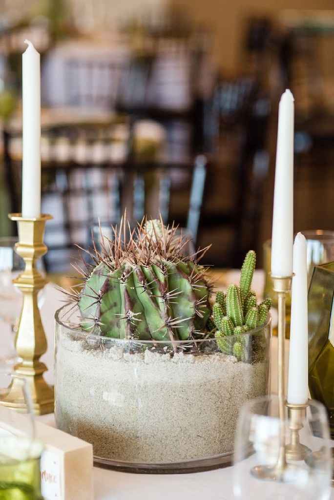Inspi cactus - 38