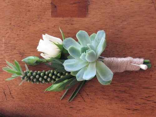 Inspi cactus - 39