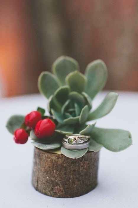 Inspi cactus - 42