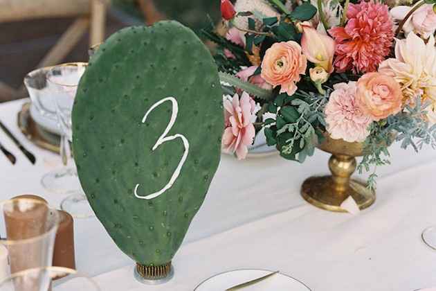 Inspi cactus - 44