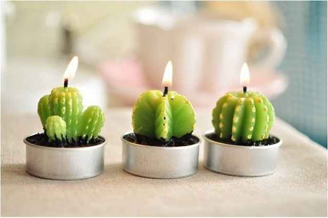 Inspi cactus - 48