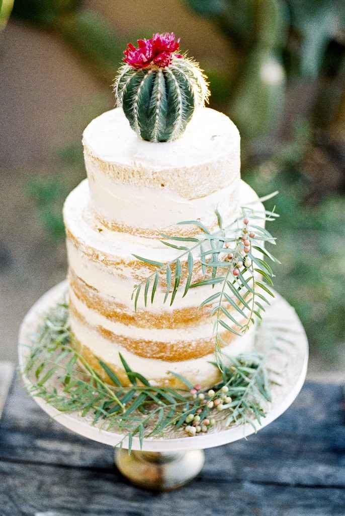 Inspi cactus - 49