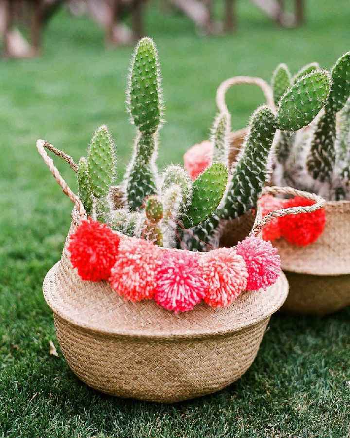 Inspi cactus - 53