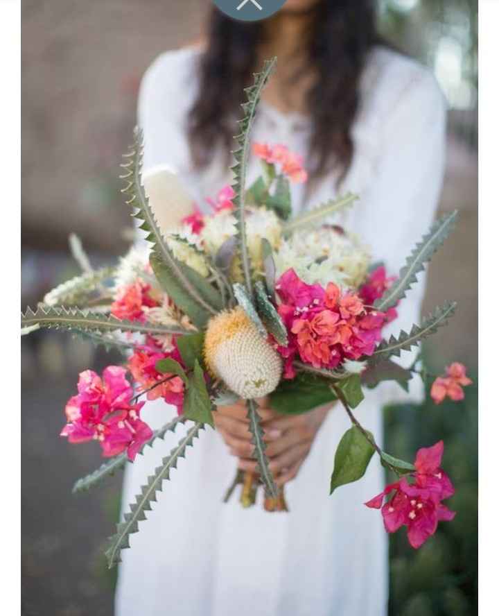Inspi cactus - 56