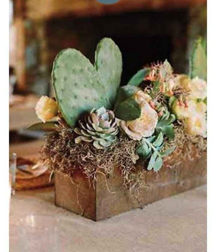 Inspi cactus - 59