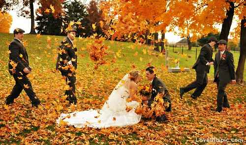 Inspi automne (citrouilles) - 1