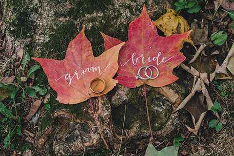 Inspi automne (citrouilles) - 4