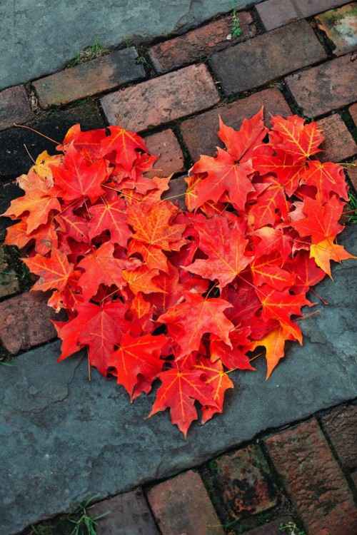 Inspi automne (citrouilles) - 5