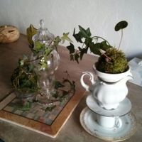 table du damier 
