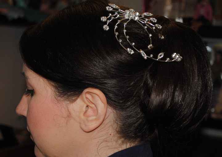 Chignon 1