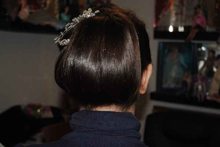 Chignon 2