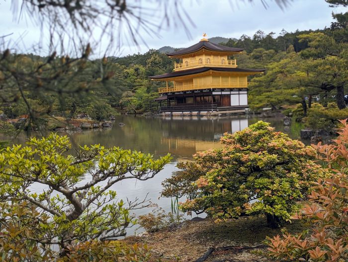 Lune de Miel au Japon 16