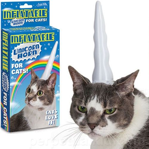 chat Licorne