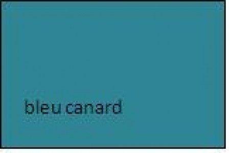 bleu canard