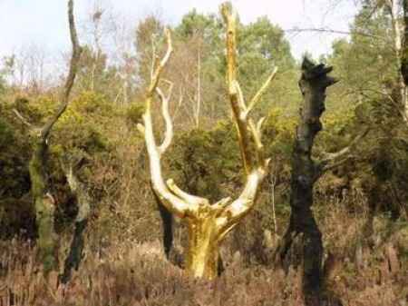 Forêt de Brocéliande: l'arbre d'or