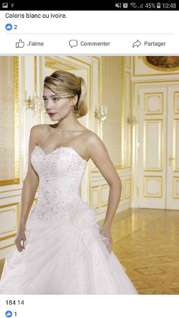  Qui a déjà essayé cette robe ? - 2