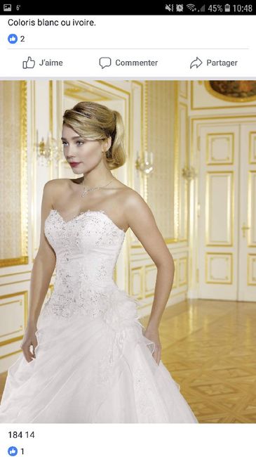  Qui a déjà essayé cette robe ? - 2