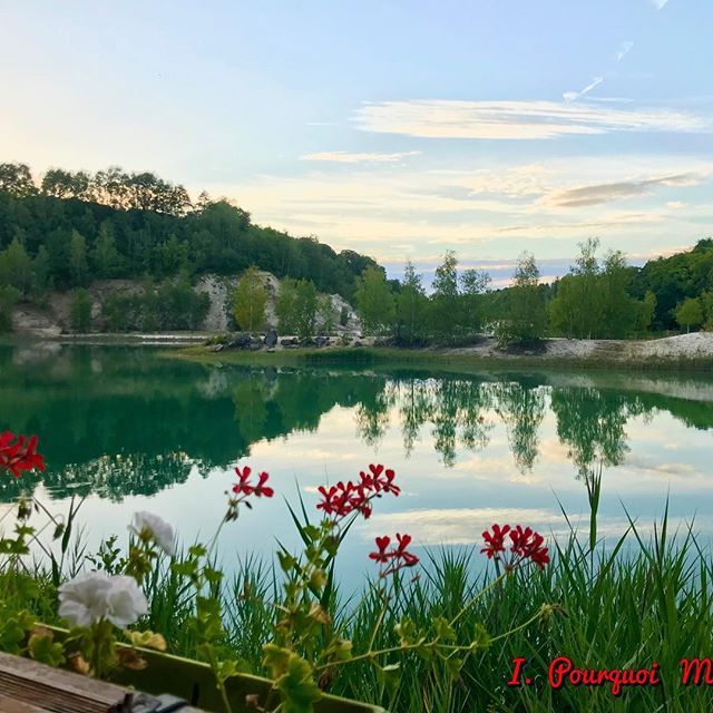 ✍️ Salle des fêtes ou domaine ? 1