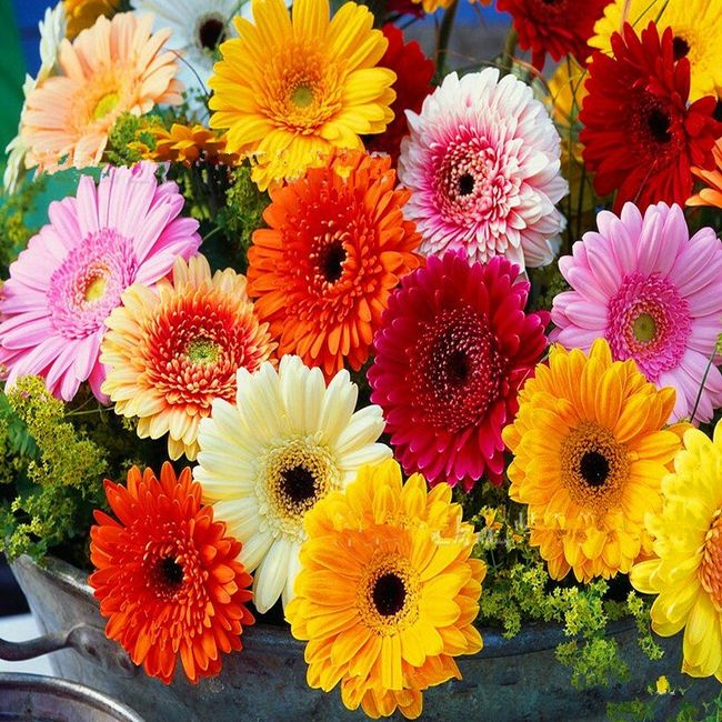 Les fleurs... - 1