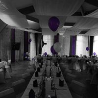 Montrez moi vos plafonds décorés de voile d'hivernage! - 1