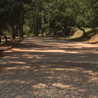 tapis Cérémonie Extérieure - 1