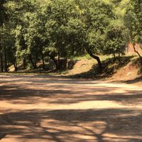 tapis Cérémonie Extérieure - 2