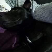 Résumes ta semaine en une photo  📸 - 1