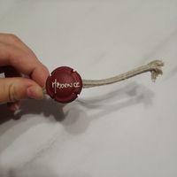 Capsule oui mais pour quoi ? - 2