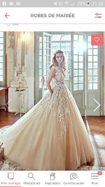 Robe : celle que vous rêviez et celle que vous avez choisie. - 1