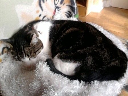 Doudou 