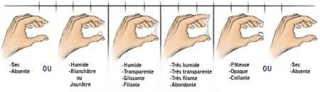 Essai bb connaitre son corps