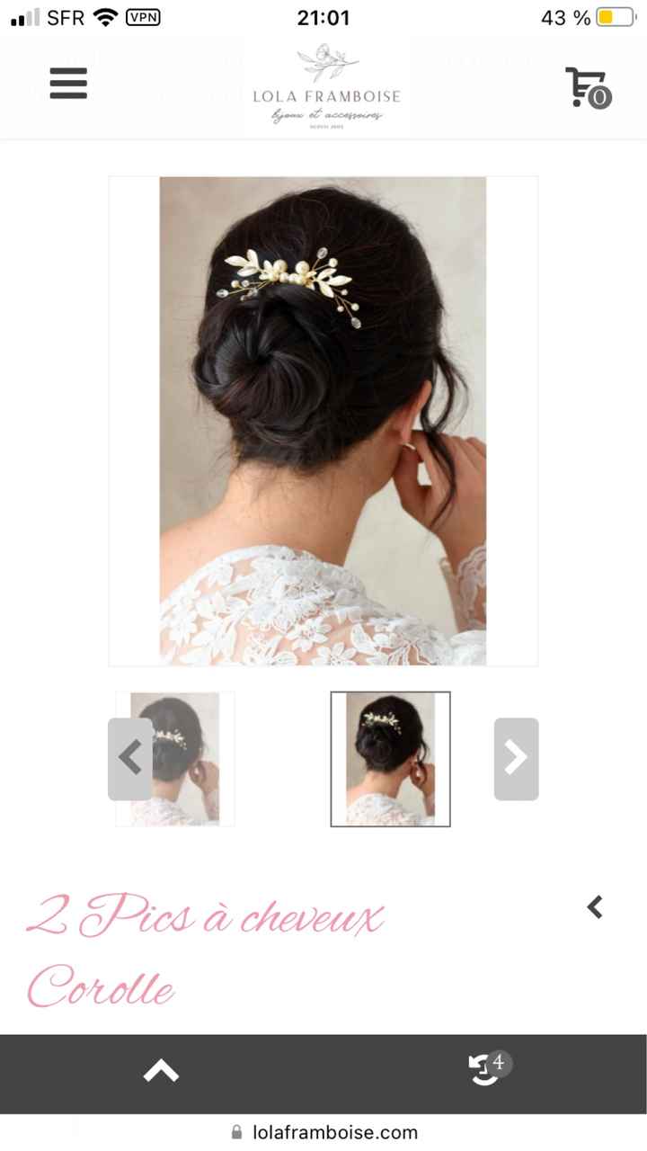 Bijoux de coiffure - 1