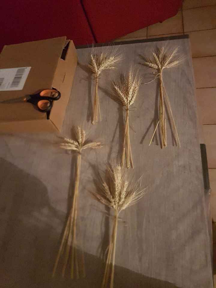 Début des bouquets de blés - 1