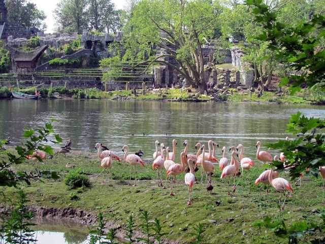 Pari Daiza
