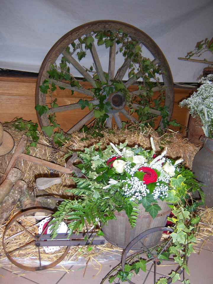 la vieille roue et le tricycle en fleur 