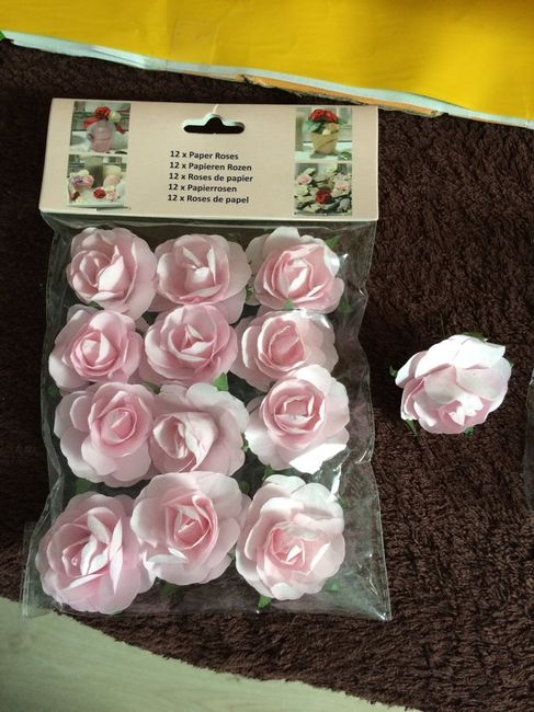 Roses de chez action!!! besoin d'aide... - 1