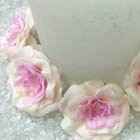Marron rose ecru - 3