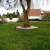 le jardin