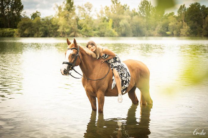 Arrivée cérémonie à cheval 1